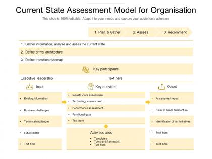 Current state assessment model for organisation