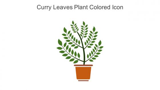 Curry Leaves Plant Colored Icon In Powerpoint Pptx Png And Editable Eps Format