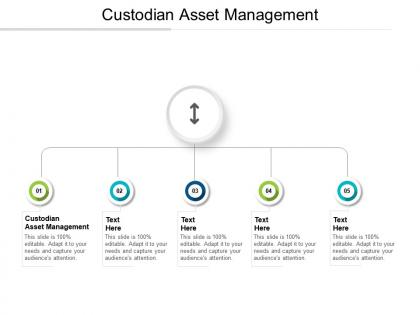 Custodian asset management ppt powerpoint presentation show influencers cpb