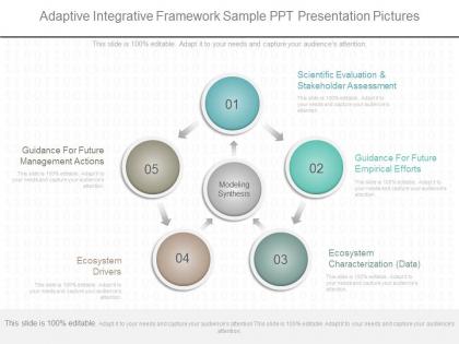 Custom adaptive integrative framework sample ppt presentation pictures