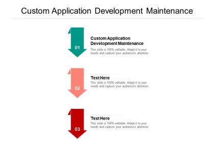 Custom application development maintenance ppt powerpoint presentation pictures portfolio cpb