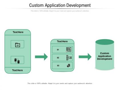 Custom application development ppt powerpoint presentation icon guide cpb
