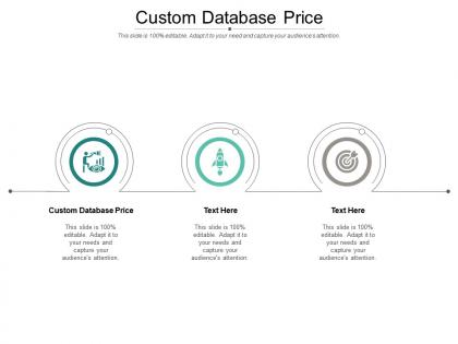 Custom database price ppt powerpoint presentation model rules cpb