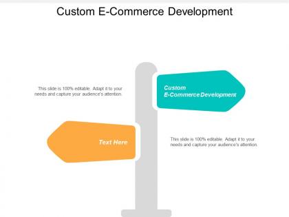 Custom e commerce development ppt powerpoint presentation inspiration gridlines cpb