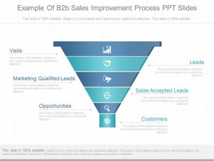 Custom example of b2b sales improvement process ppt slides