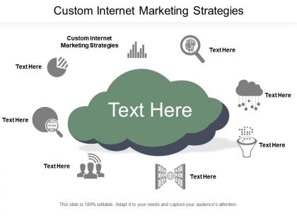 Custom internet marketing strategies ppt powerpoint presentation infographic template outline cpb