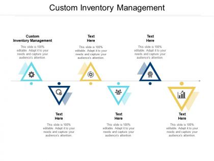 Custom inventory management ppt powerpoint presentation show tips cpb