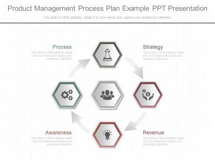 Custom product management process plan example ppt presentation