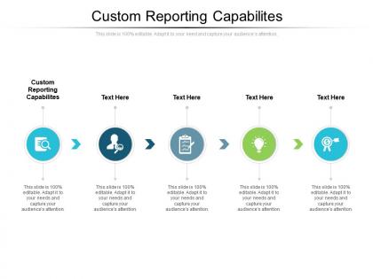 Custom reporting capabilites ppt powerpoint presentation icon design templates cpb