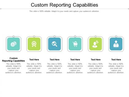 Custom reporting capabilities ppt powerpoint presentation gallery master slide cpb