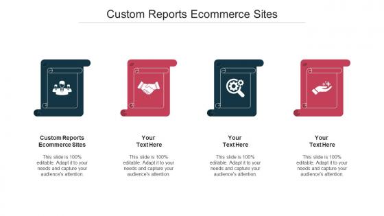 Custom Reports Ecommerce Sites Ppt Powerpoint Presentation Show Example Topics Cpb