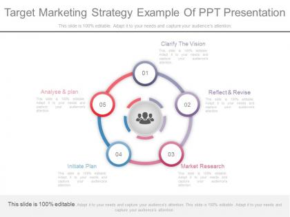 Custom target marketing strategy example of ppt presentation