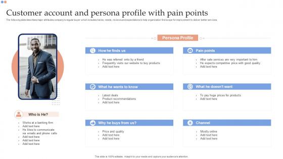 Customer Account And Persona Profile With Pain Points