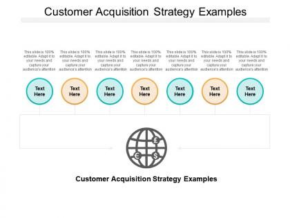 Customer acquisition strategy examples ppt powerpoint presentation styles elements cpb
