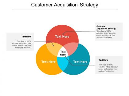 Customer acquisition strategy ppt powerpoint presentation portfolio gridlines cpb