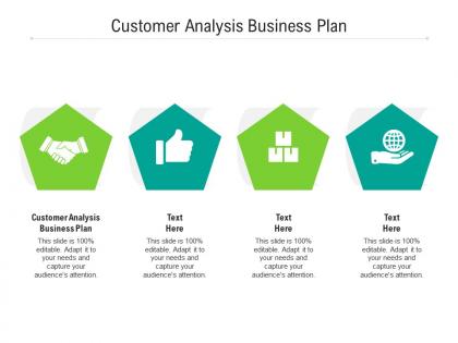 Customer analysis business plan ppt powerpoint presentation summary background image cpb