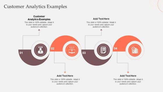 Customer Analytics Examples In Powerpoint And Google Slides Cpb