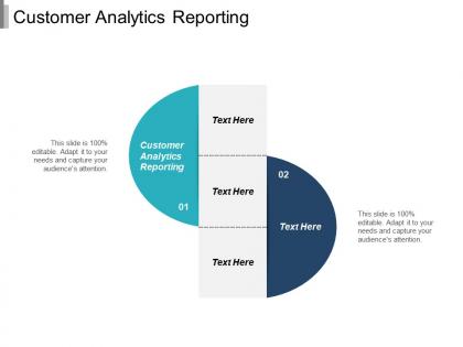 Customer analytics reporting ppt powerpoint presentation file images cpb
