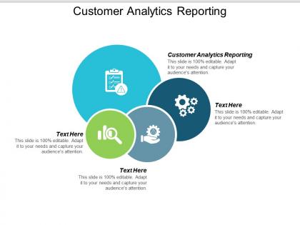 Customer analytics reporting ppt powerpoint presentation ideas show cpb