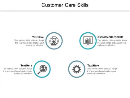 Customer care skills ppt powerpoint presentation outline slide portrait cpb