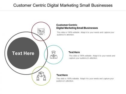 Customer centric digital marketing small businesses ppt powerpoint presentation file example topics cpb