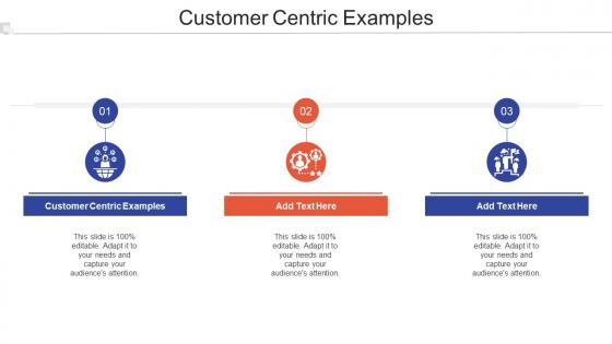 Customer Centric Examples In Powerpoint And Google Slides Cpb
