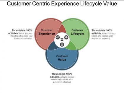 Customer centric experience lifecycle value