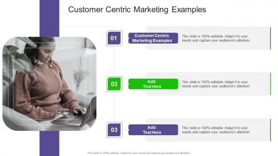 Customer Centric Marketing Examples In Powerpoint And Google Slides Cpb