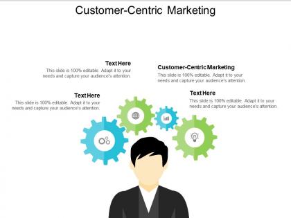 Customer centric marketing ppt powerpoint presentation gallery graphics example cpb