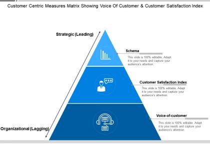 Customer centric measures matrix showing voice of customer and customer satisfaction index