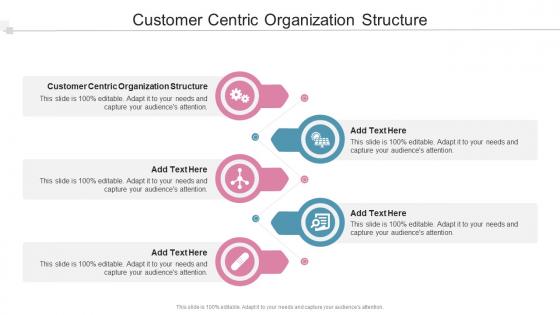 Customer Centric Organization Structure In Powerpoint And Google Slides Cpb