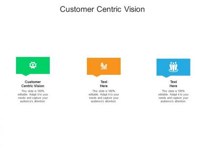 Customer centric vision ppt powerpoint presentation gallery show cpb