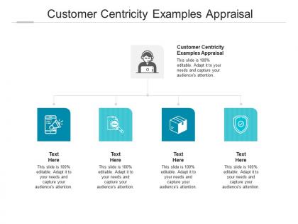 Customer centricity examples appraisal ppt powerpoint presentation portfolio good cpb