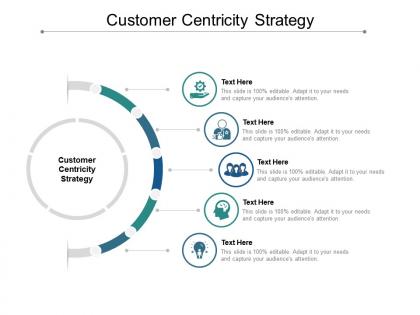 Customer centricity strategy ppt powerpoint presentation professional pictures cpb
