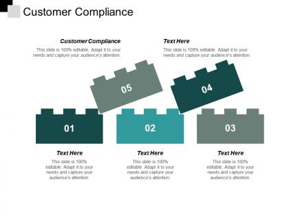 Customer compliance ppt powerpoint presentation model infographics cpb