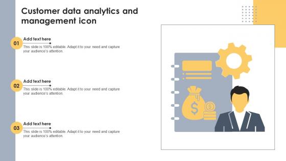 Customer Data Analytics And Management Icon