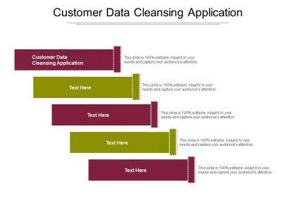 Customer data cleansing application ppt powerpoint presentation professional master slide cpb