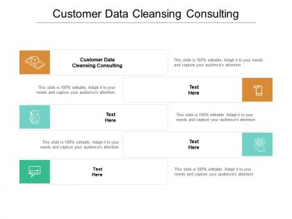 Customer data cleansing consulting ppt powerpoint presentation inspiration model cpb