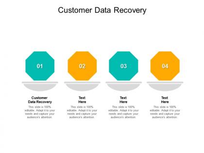 Customer data recovery ppt powerpoint presentation model deck cpb