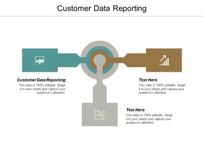 Customer data reporting ppt powerpoint presentation infographic template microsoft cpb