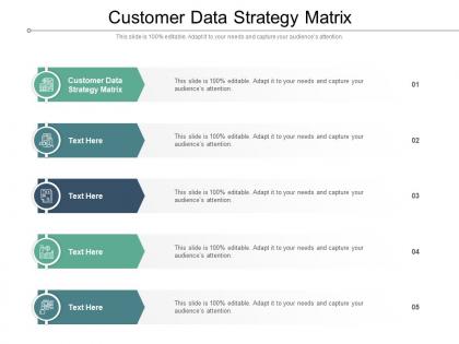 Customer data strategy matrix ppt powerpoint presentation pictures infographics cpb