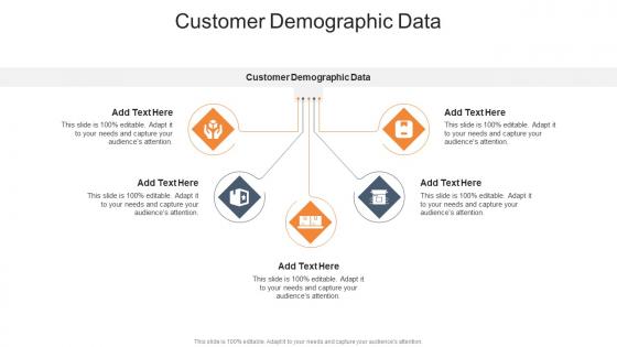 Customer Demographic Data In Powerpoint And Google Slides Cpb