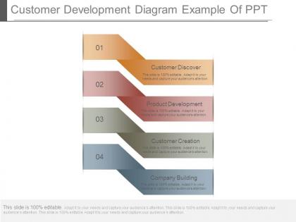 Customer development diagram example of ppt