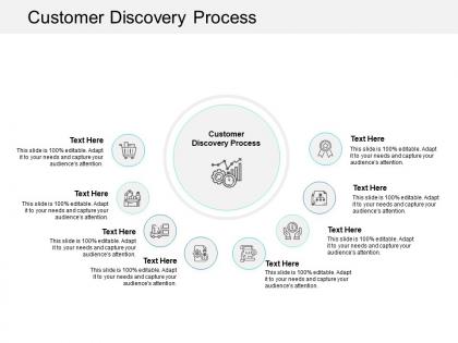 Customer discovery process ppt powerpoint presentation portfolio cpb