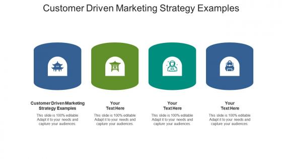 Customer driven marketing strategy examples ppt powerpoint presentation pictures show cpb