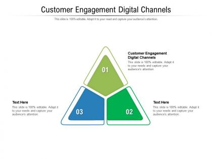 Customer engagement digital channels ppt powerpoint presentation outline objects cpb
