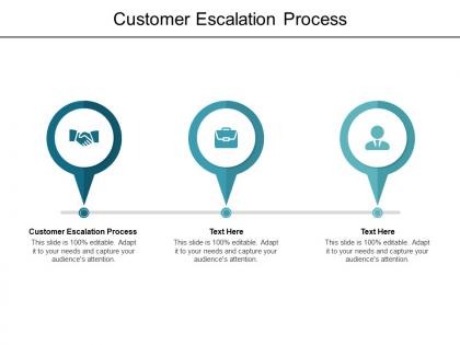 Customer escalation process ppt powerpoint presentation portfolio examples cpb