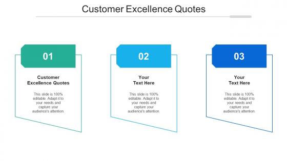 Customer Excellence Quotes Ppt Powerpoint Presentation Gallery Graphics Pictures Cpb