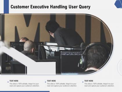 Customer executive handling user query