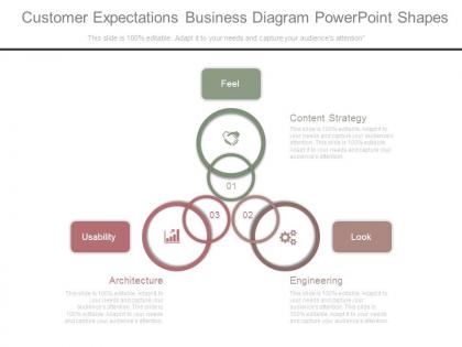 Customer expectations business diagram powerpoint shapes